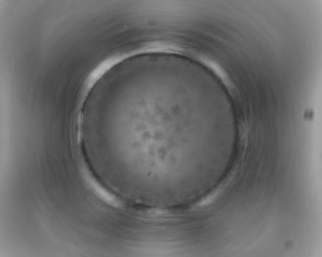 X0000091851371200709051138
