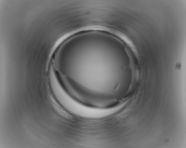 X0000091851372200709051138