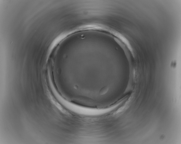 X0000091851373200709051138