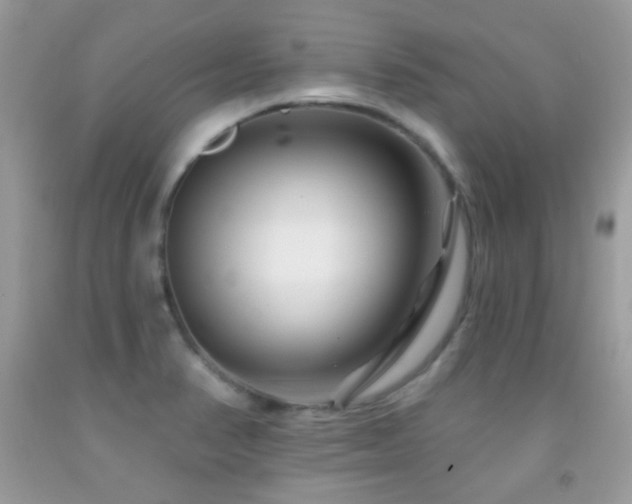 X0000091851374200709051138