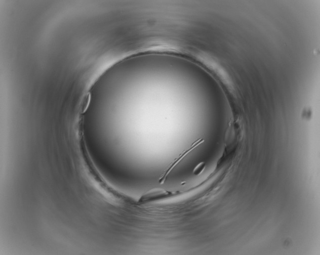 X0000091851375200709051138