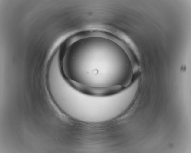 X0000091851376200709051138