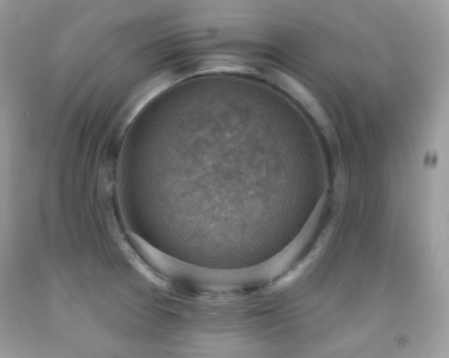 X0000091851377200709051138
