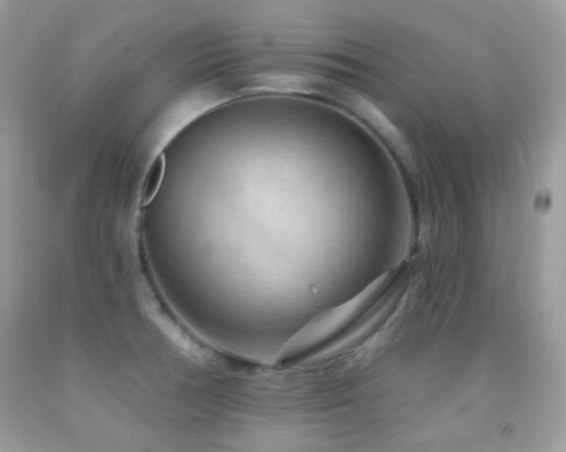 X0000091851378200709051138