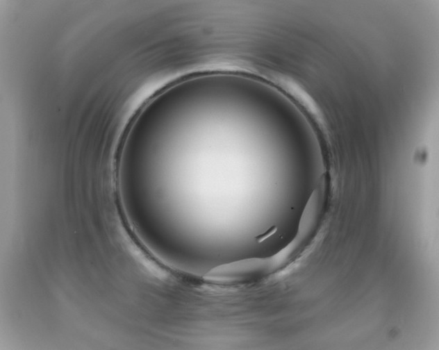 X0000091851380200709051137