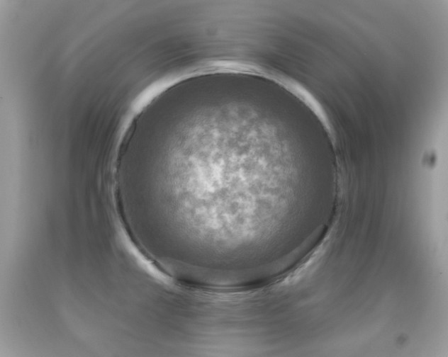 X0000091851381200709051137