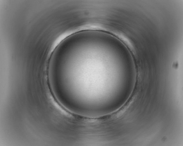 X0000091851382200709051137