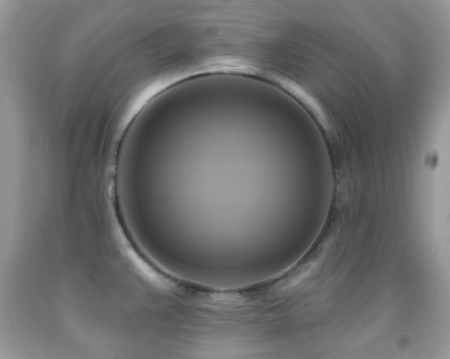 X0000091851383200709051137