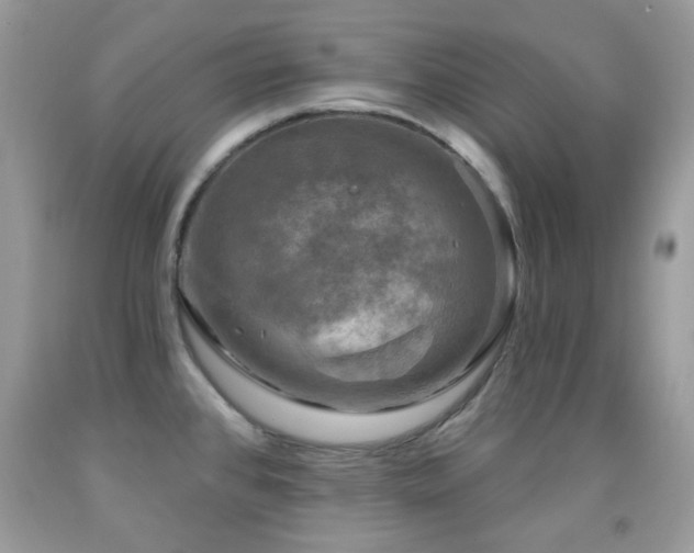 X0000091851384200709051137