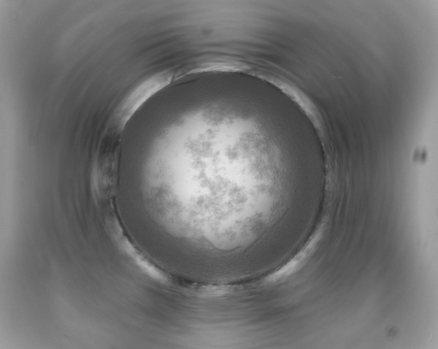 X0000091851385200709051137