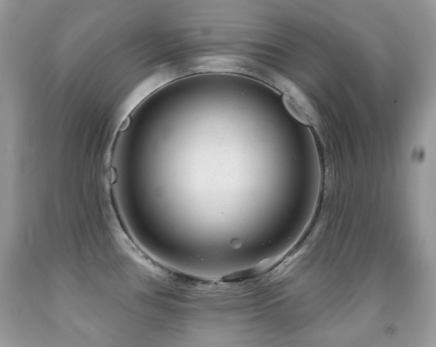 X0000091851386200709051137