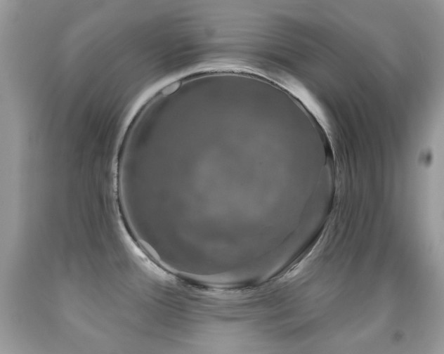 X0000091851388200709051137