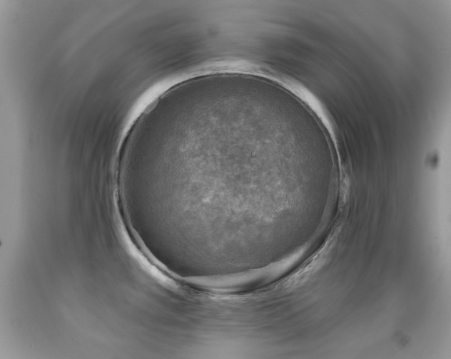 X0000091851389200709051137