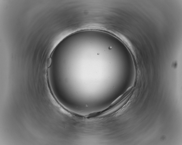 X0000091851390200709051137