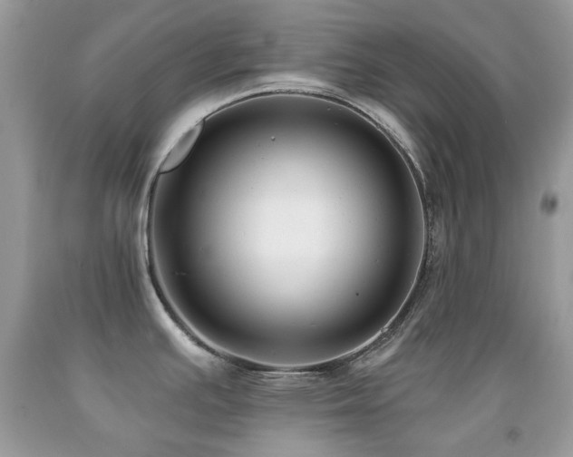 X0000091851391200709051137