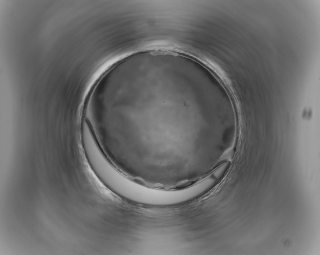 X0000091851392200709051137