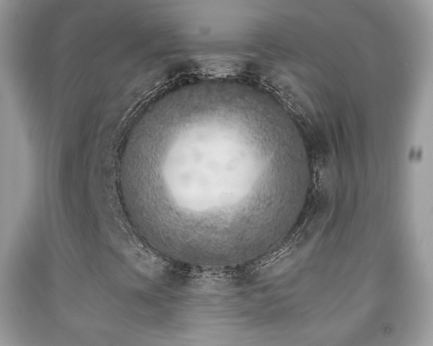 X0000091851393200709051137