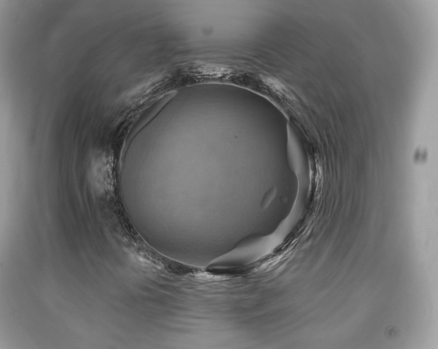 X0000091851394200709051137
