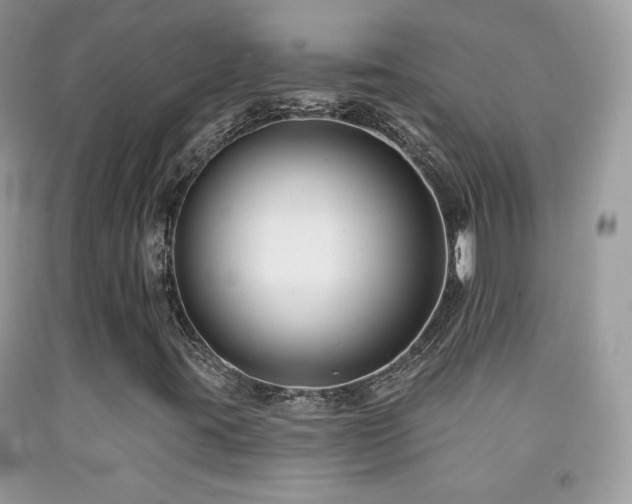 X0000091851395200709051137