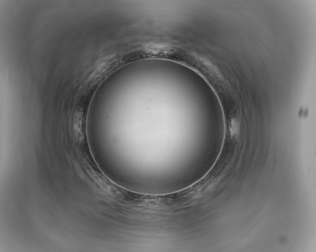 X0000091851396200709051137