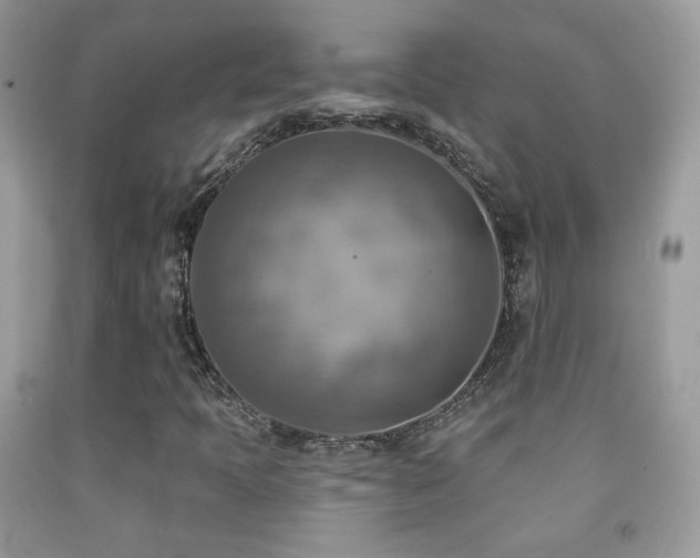 X0000091851397200709051137