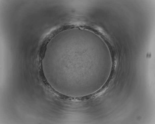 X0000091851398200709051137