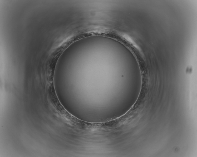 X0000091851399200709051137