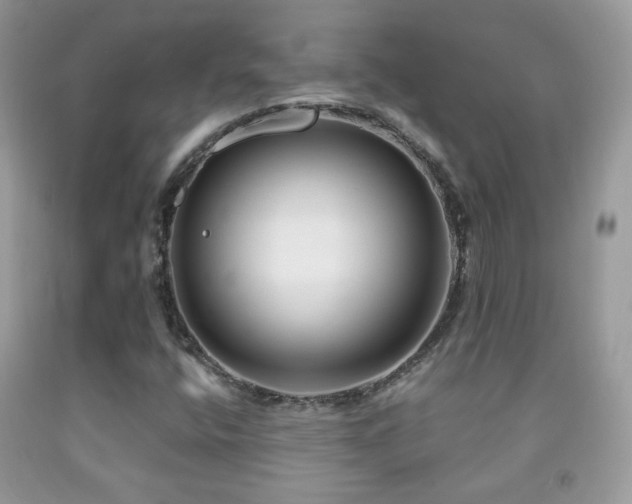 X0000091851400200709051137