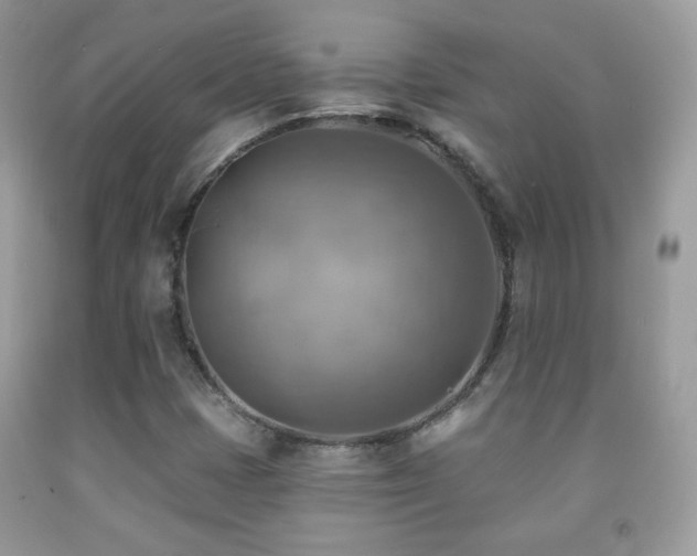 X0000091851401200709051137