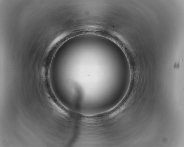 X0000091851402200709051137