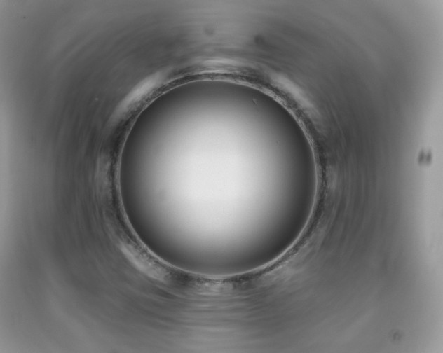 X0000091851403200709051137
