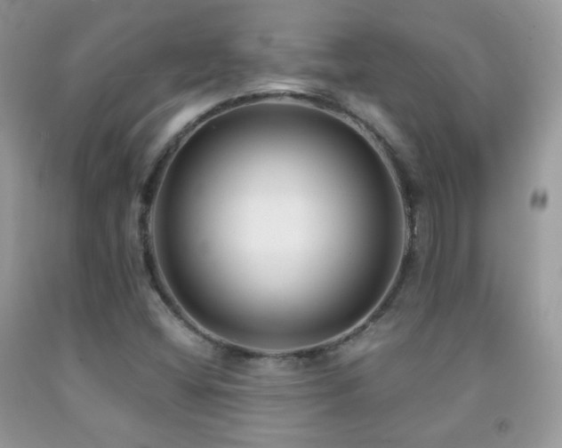 X0000091851404200709051137