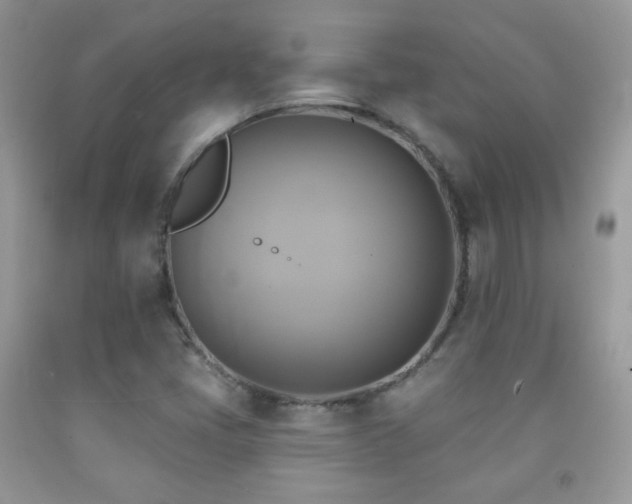 X0000091851405200709051137