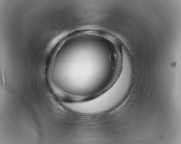 X0000091851406200709051137