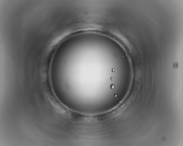X0000091851407200709051137