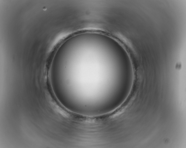 X0000091851408200709051137