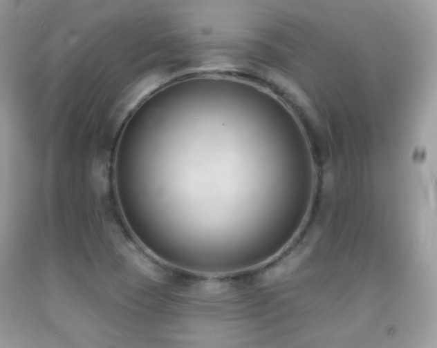 X0000091851409200709051137