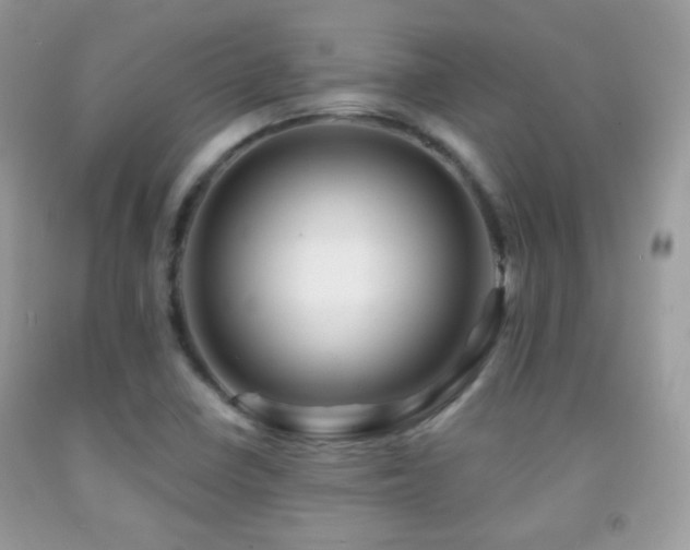 X0000091851410200709051137