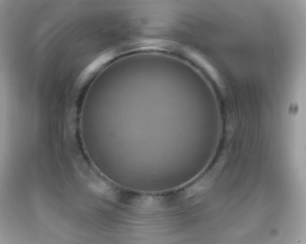 X0000091851411200709051137