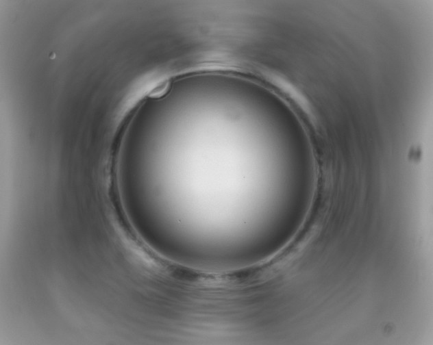 X0000091851415200709051137