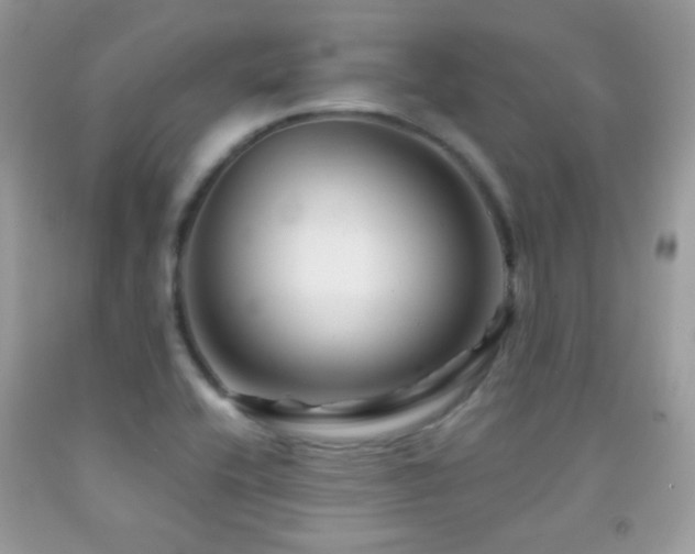 X0000091851416200709051137