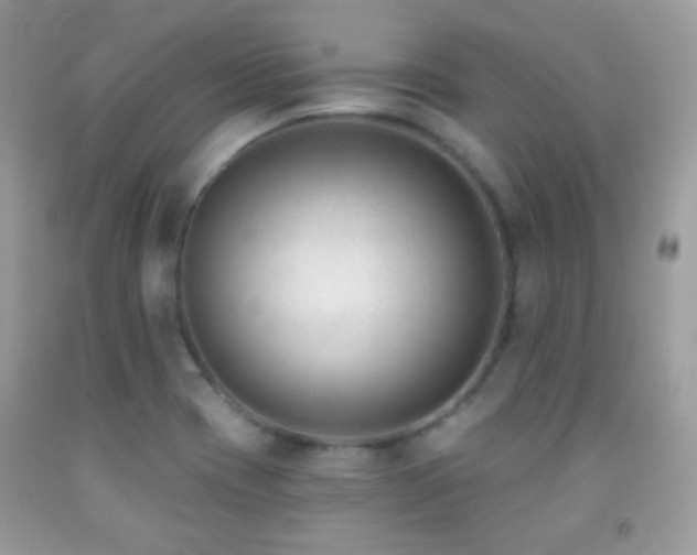 X0000091851417200709051137