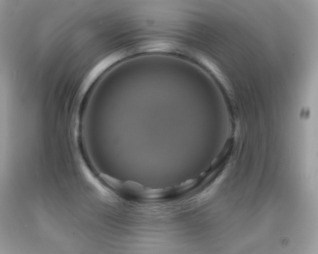 X0000091851418200709051137