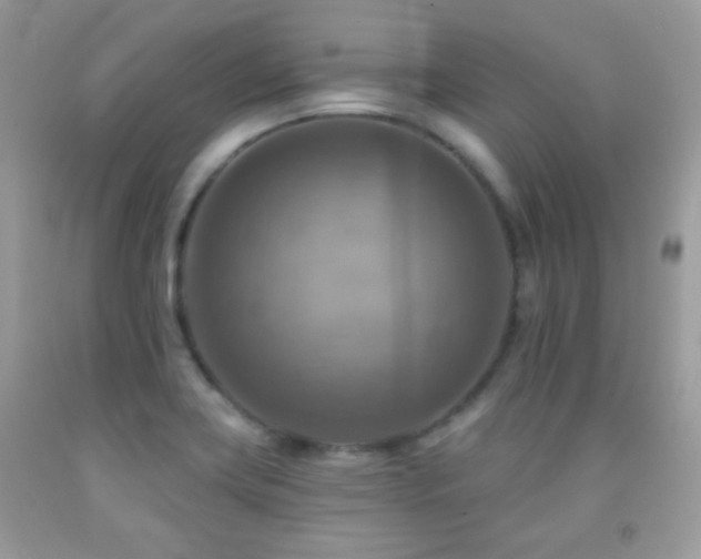 X0000091851419200709051137