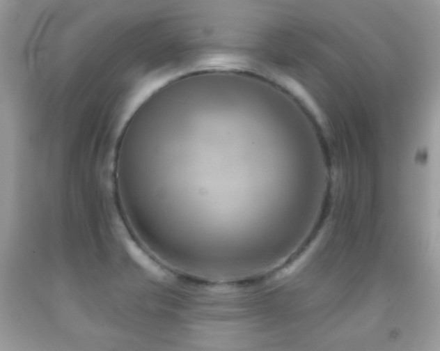 X0000091851421200709051137