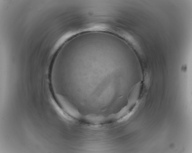 X0000091851422200709051137