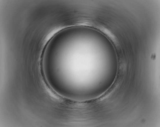 X0000091851423200709051137