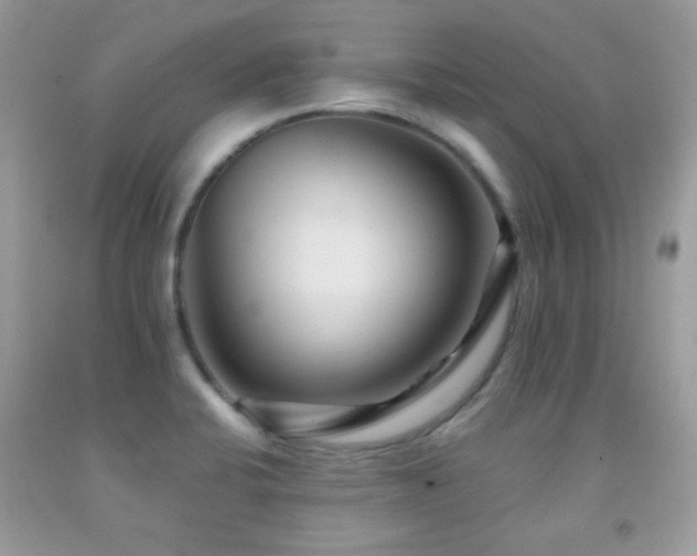 X0000091851424200709051137