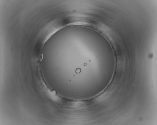 X0000091851425200709051137