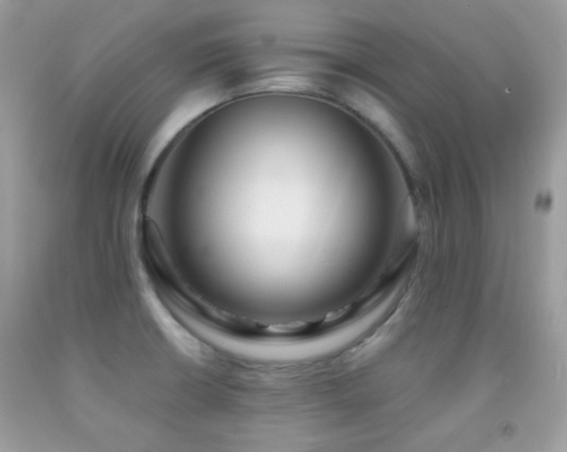X0000091851426200709051137